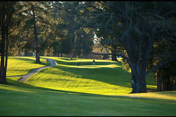 view down the fairway with golfer teeing off in the far background