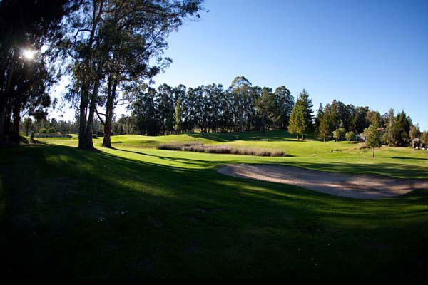 view of the fairway from shaded area under the trees