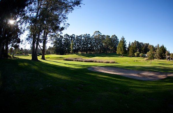 view of golf course green